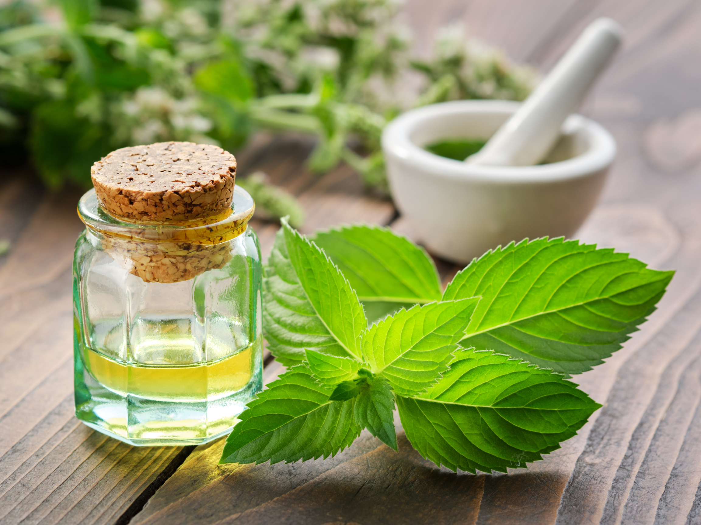 Essential Oils extraction